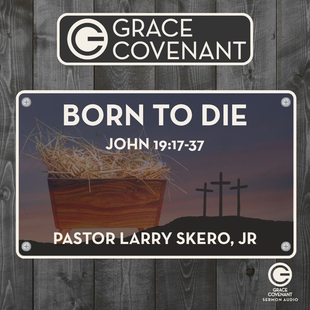 Born To Die episode artwork