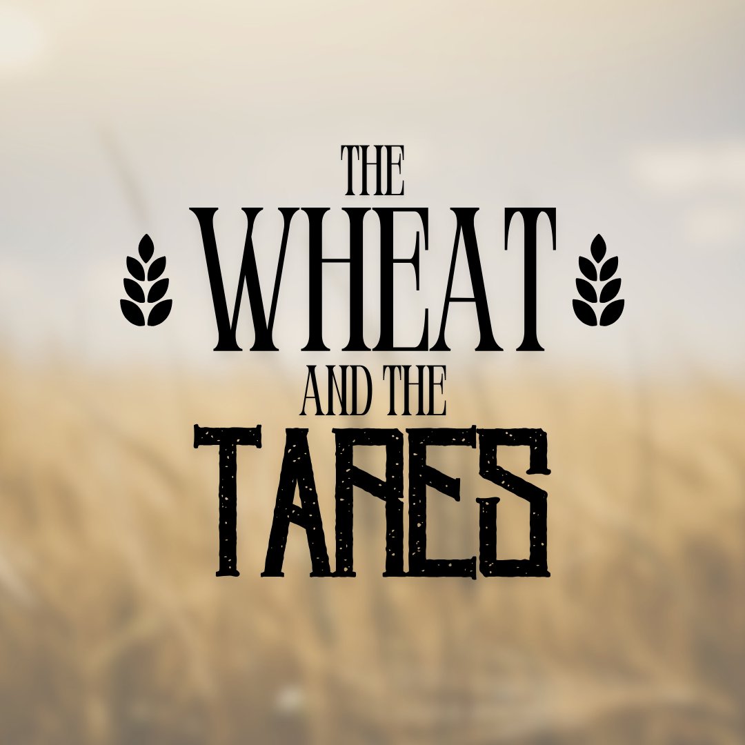 The Wheat and The Tares episode artwork