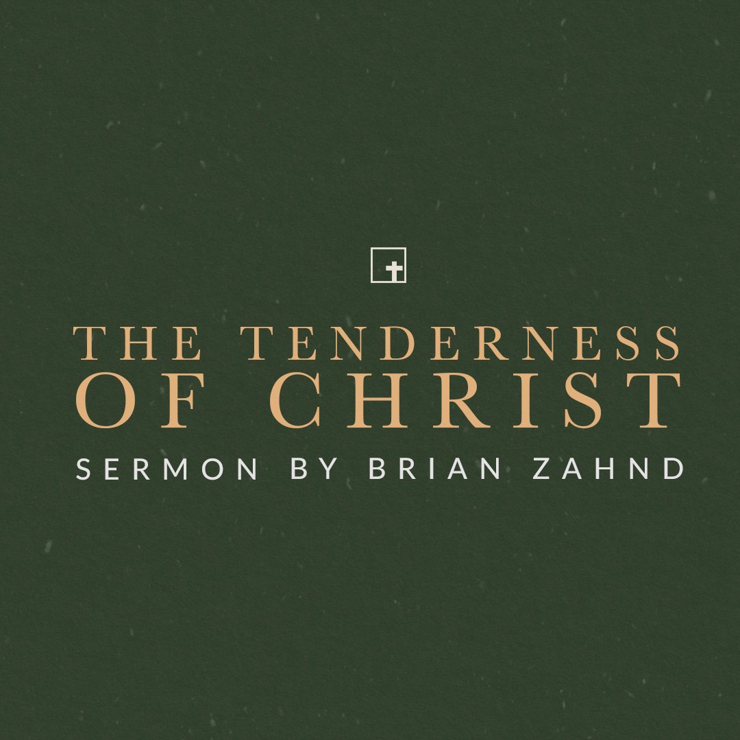 The Tenderness of Christ The Tenderness of Christ