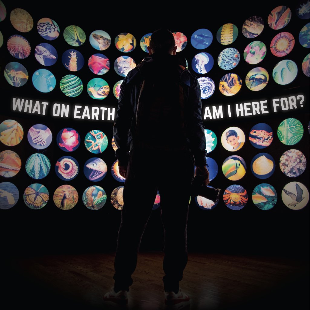 What On Earth Am I Here For?