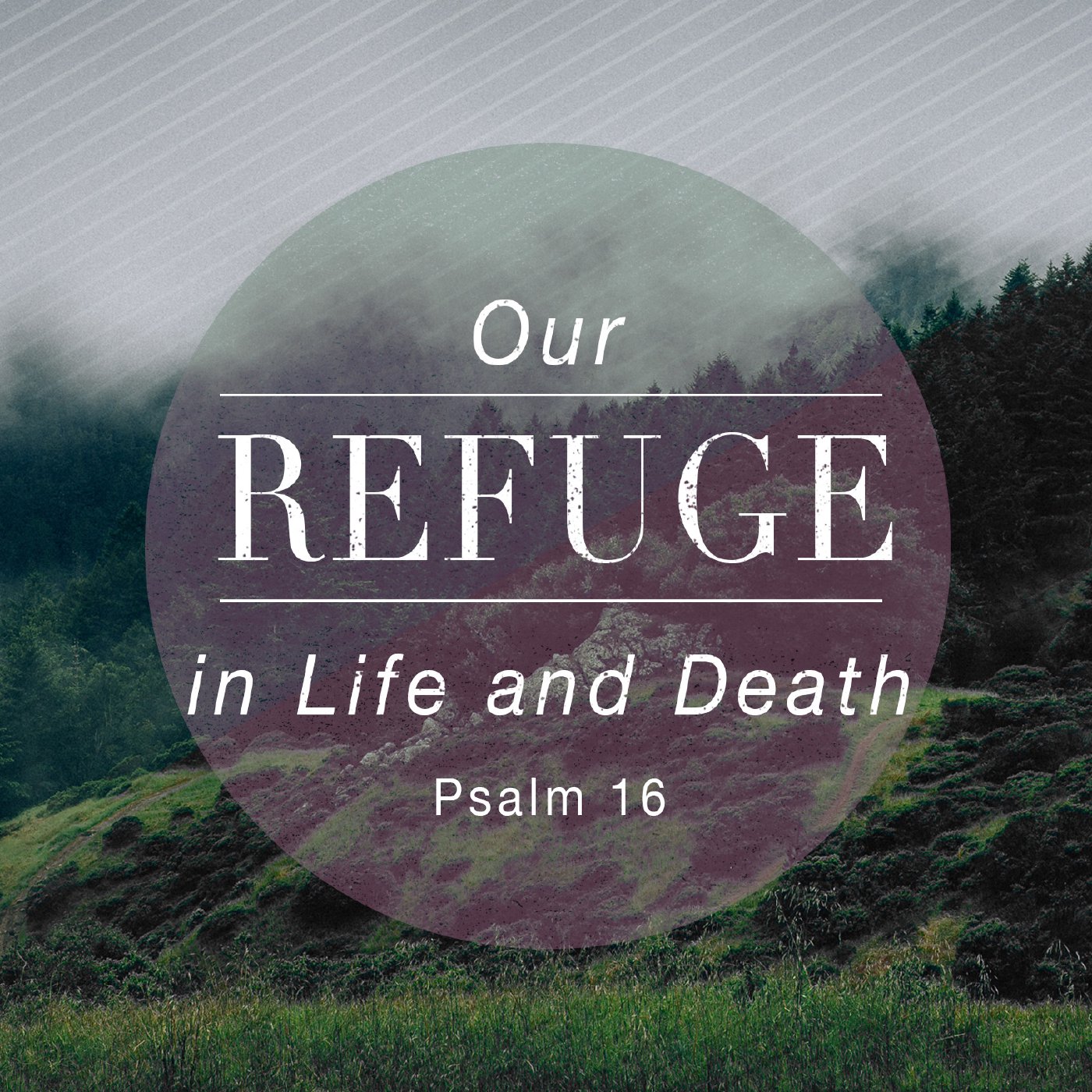 Our Refuge in Life and Death episode artwork
