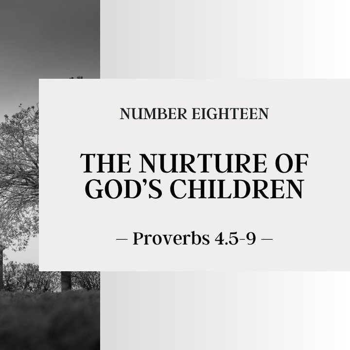 Feminine Beauty and Adornment - Part 1 | The Nurture of God's Children #18