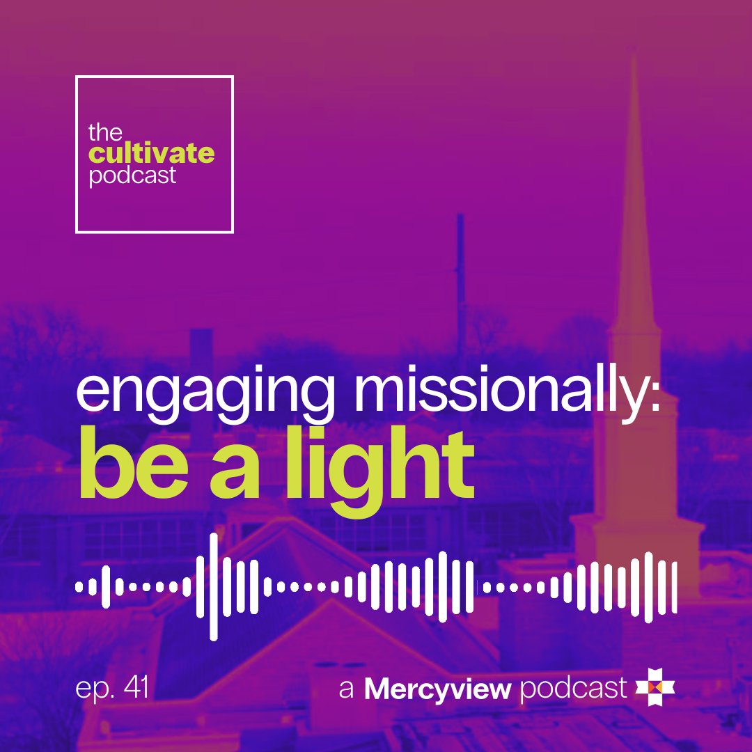 41 Mission in the Negative World - Be a Light