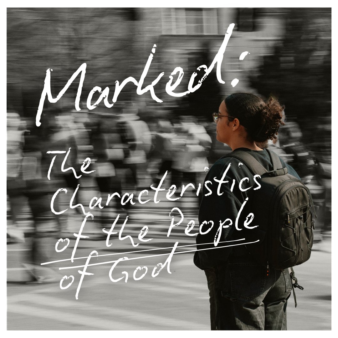 Marked: Being Invested In | Part 4 episode artwork