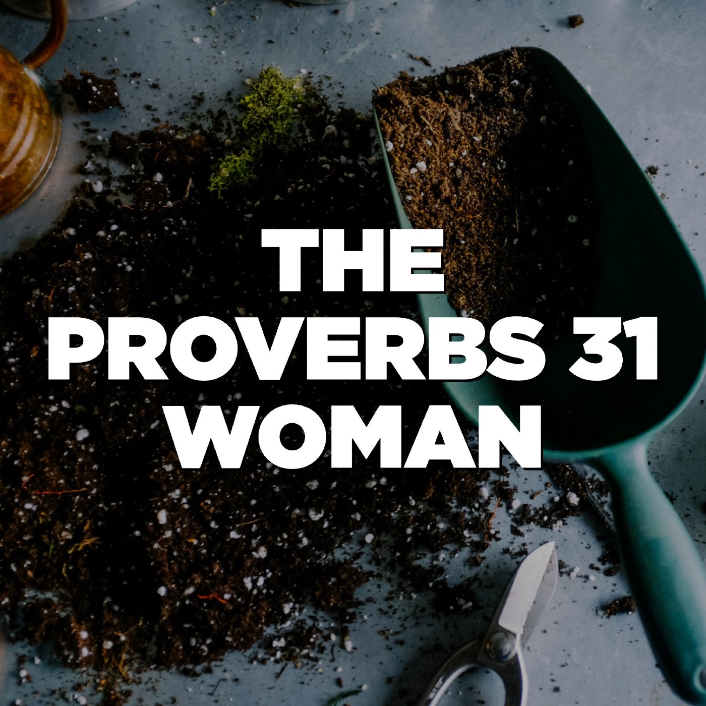 The Virtuous Church (Proverbs 31:10-31) episode artwork