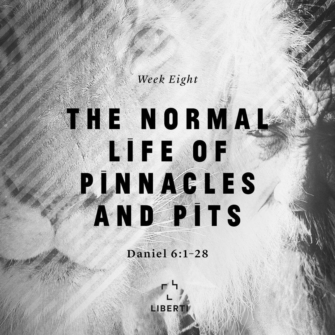 Daniel #8 - The Normal Life of Pinnacles and Pits