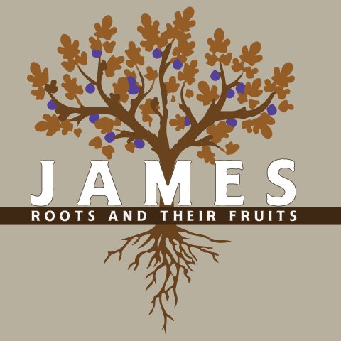 James 1 Pt 2 episode artwork