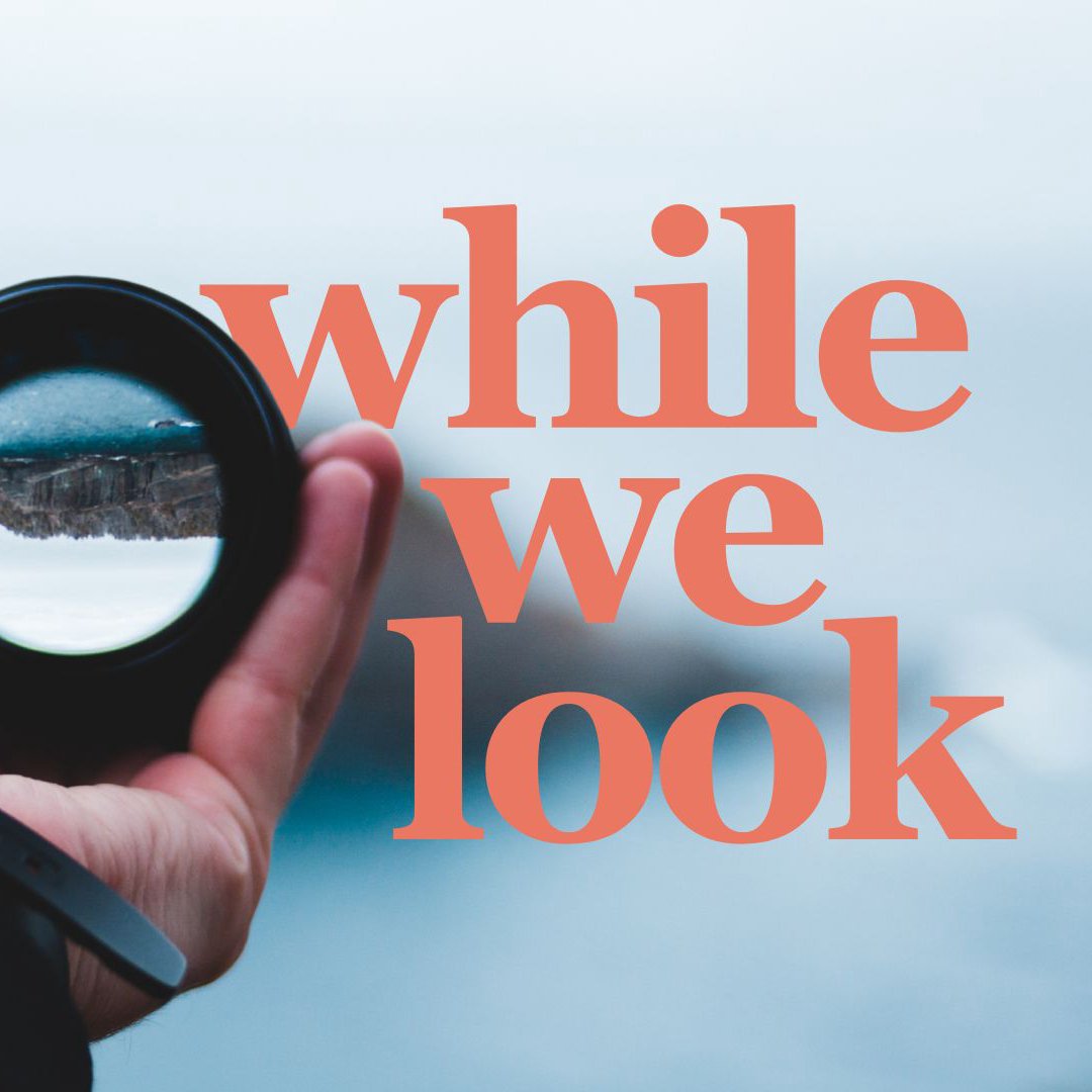 While We Look While We Look