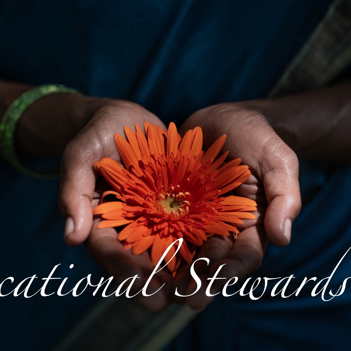 Vocational Stewardship: Law and Politics episode artwork