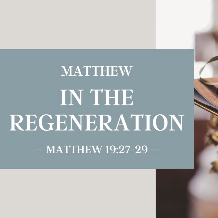 In the Regeneration | Matthew episode artwork