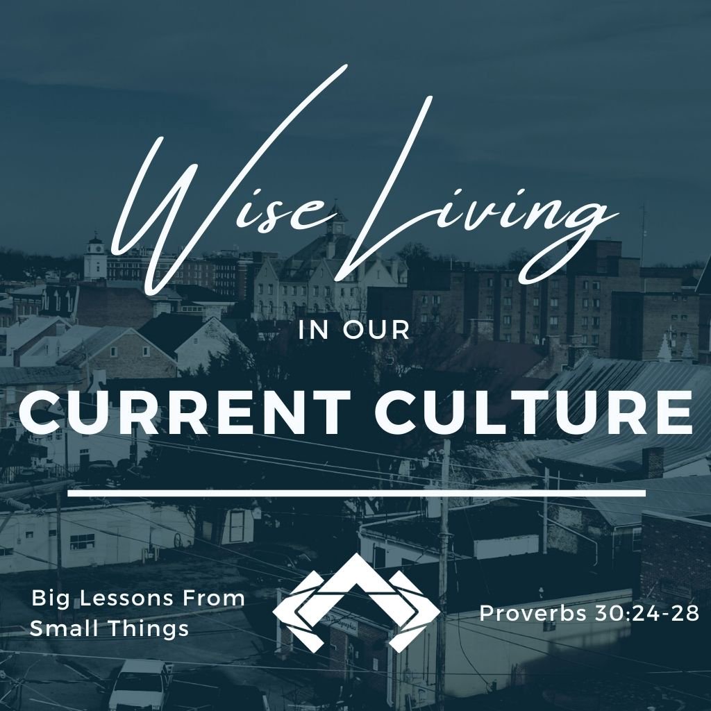Big Lessons from Small Things - Sermon episode artwork