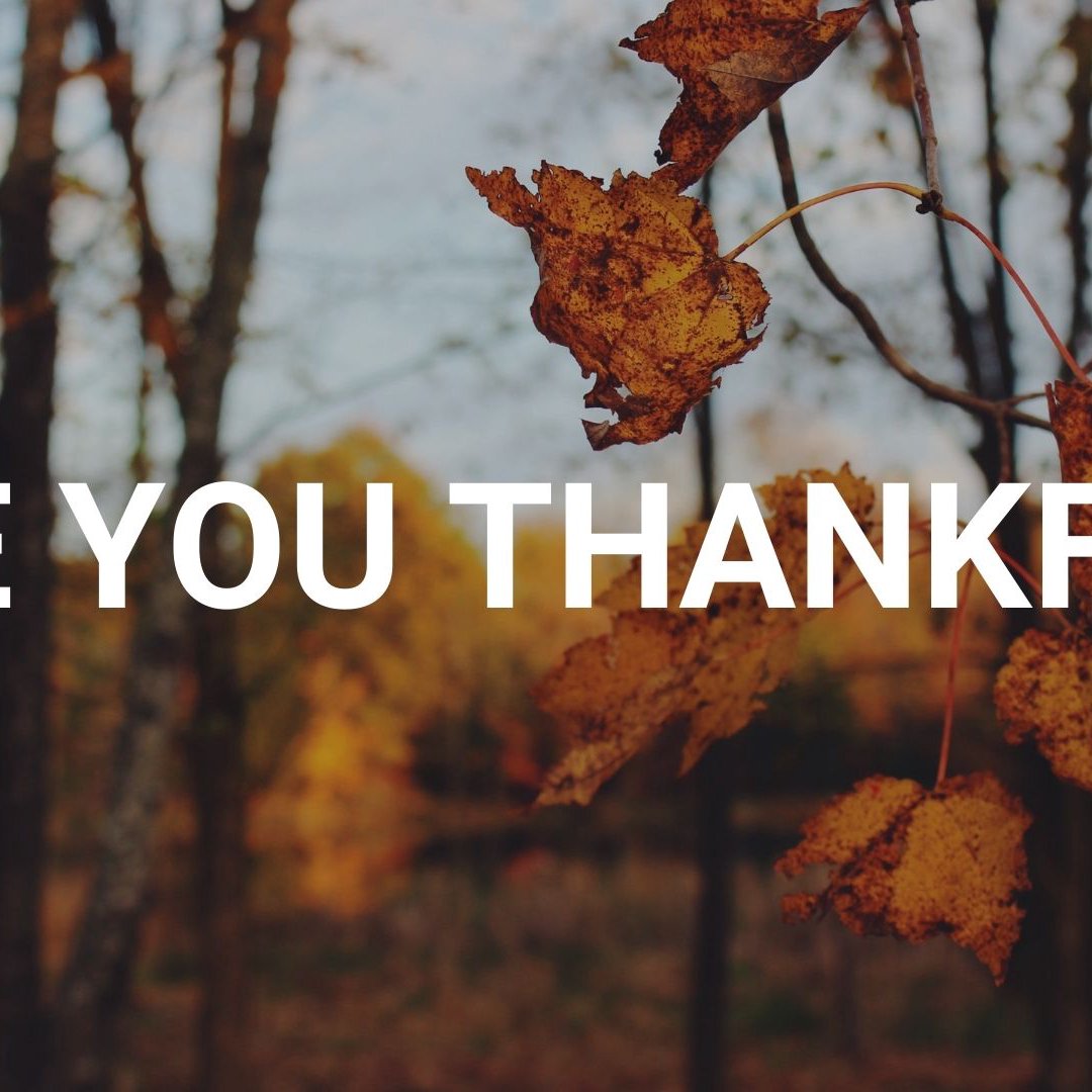 Are You Thankful? // Pastor Chad Stewart episode artwork