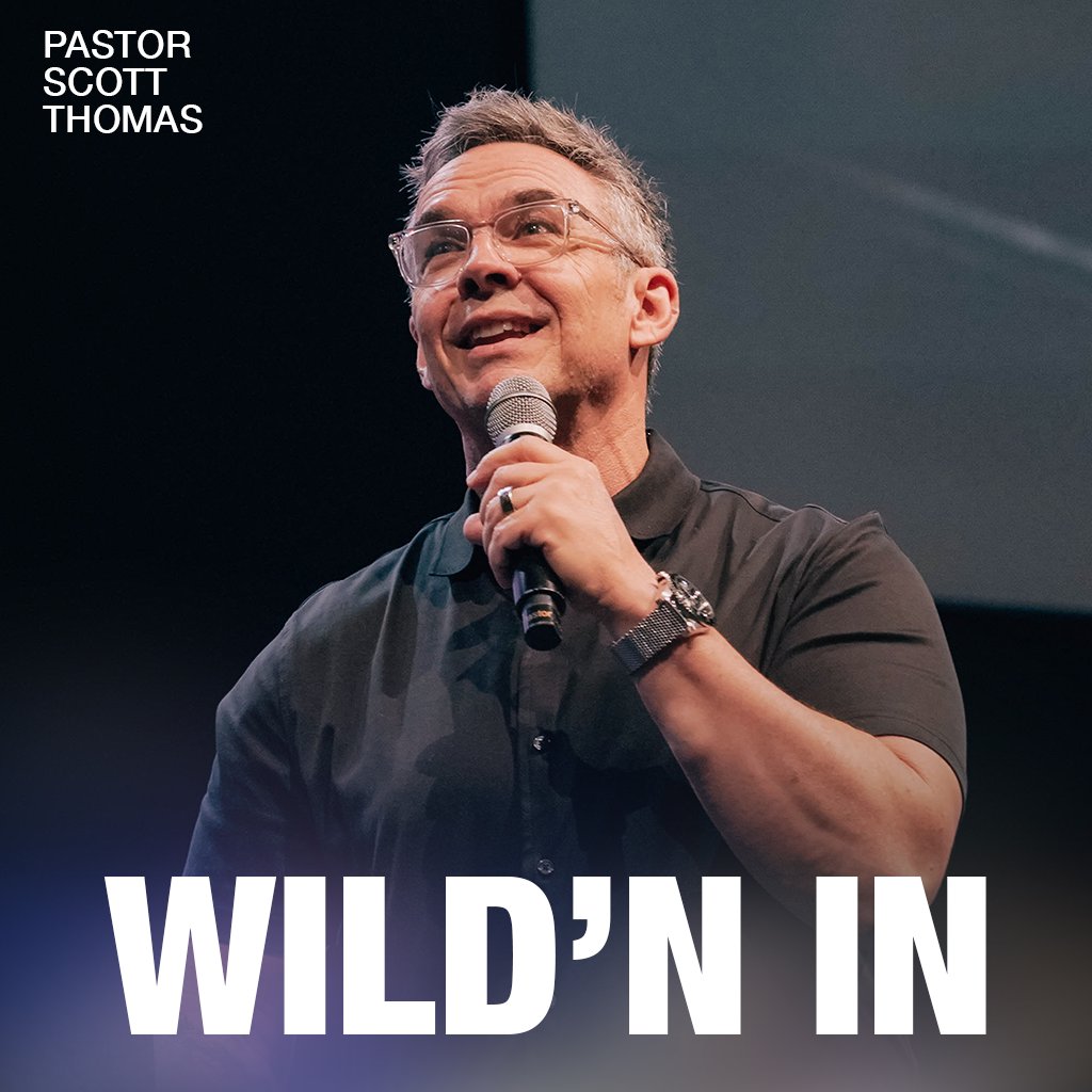 Wild'n In episode artwork