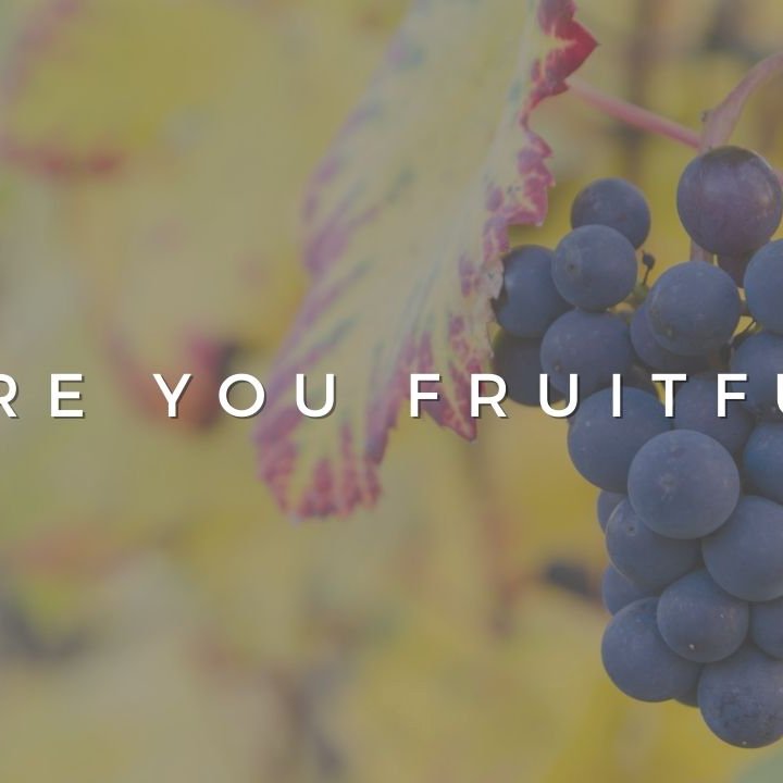 Are You Fruitful?
