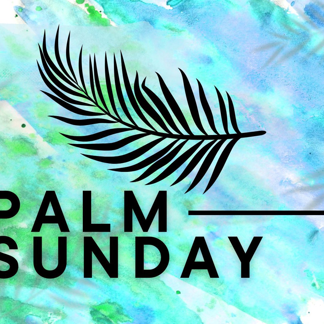 Palm Sunday | Luke 19:28-44 | Andrew Mastriano | March 24, 2024 episode artwork