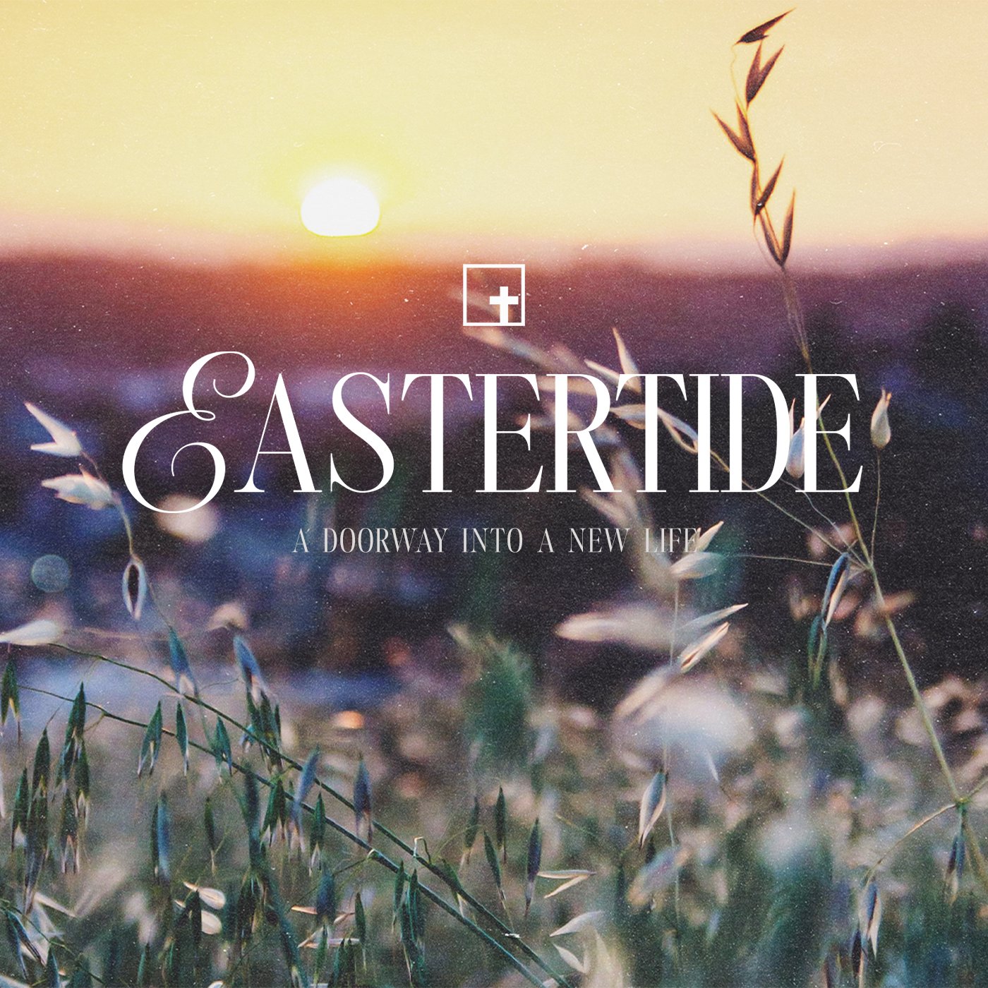 cover of episode A Doorway into a New Life
