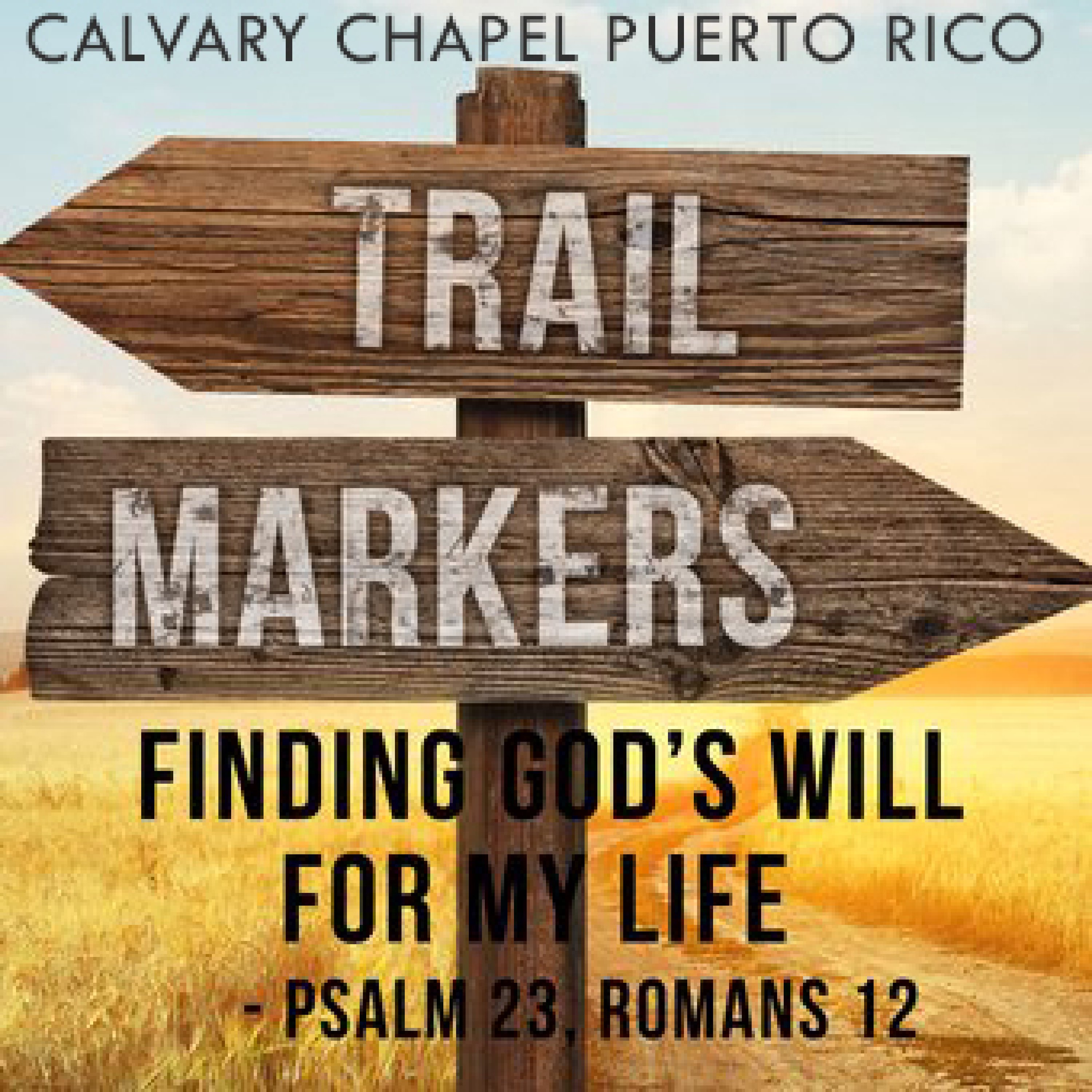 Finding God's Will For My Life