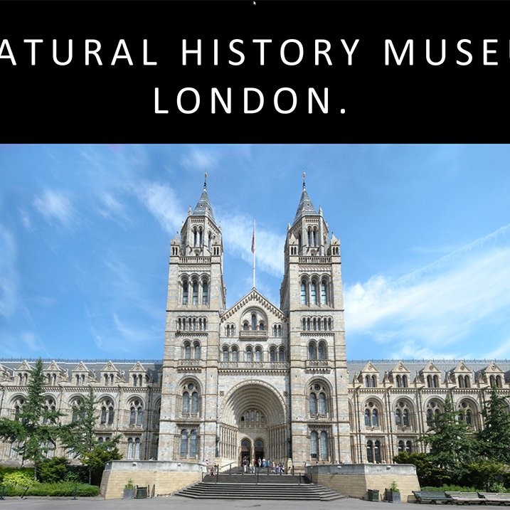Biblical Evidence in the Natural History Museum episode artwork