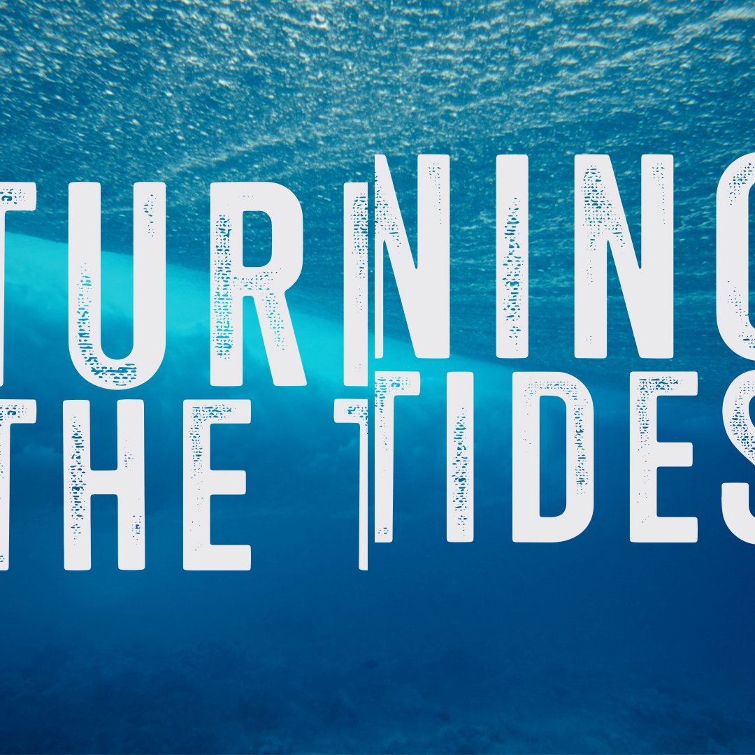 Turning the Tides | Week 5