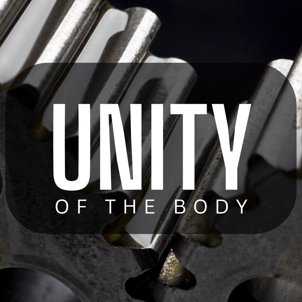 Unity of the Body episode artwork