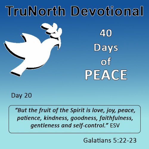 40 Days Of Peace - Day 20 episode artwork