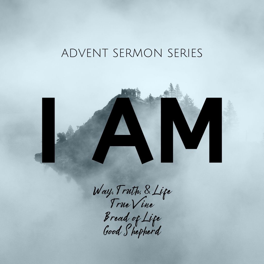 Advent 2022 (I AM Part 3): I am the True Vine episode artwork
