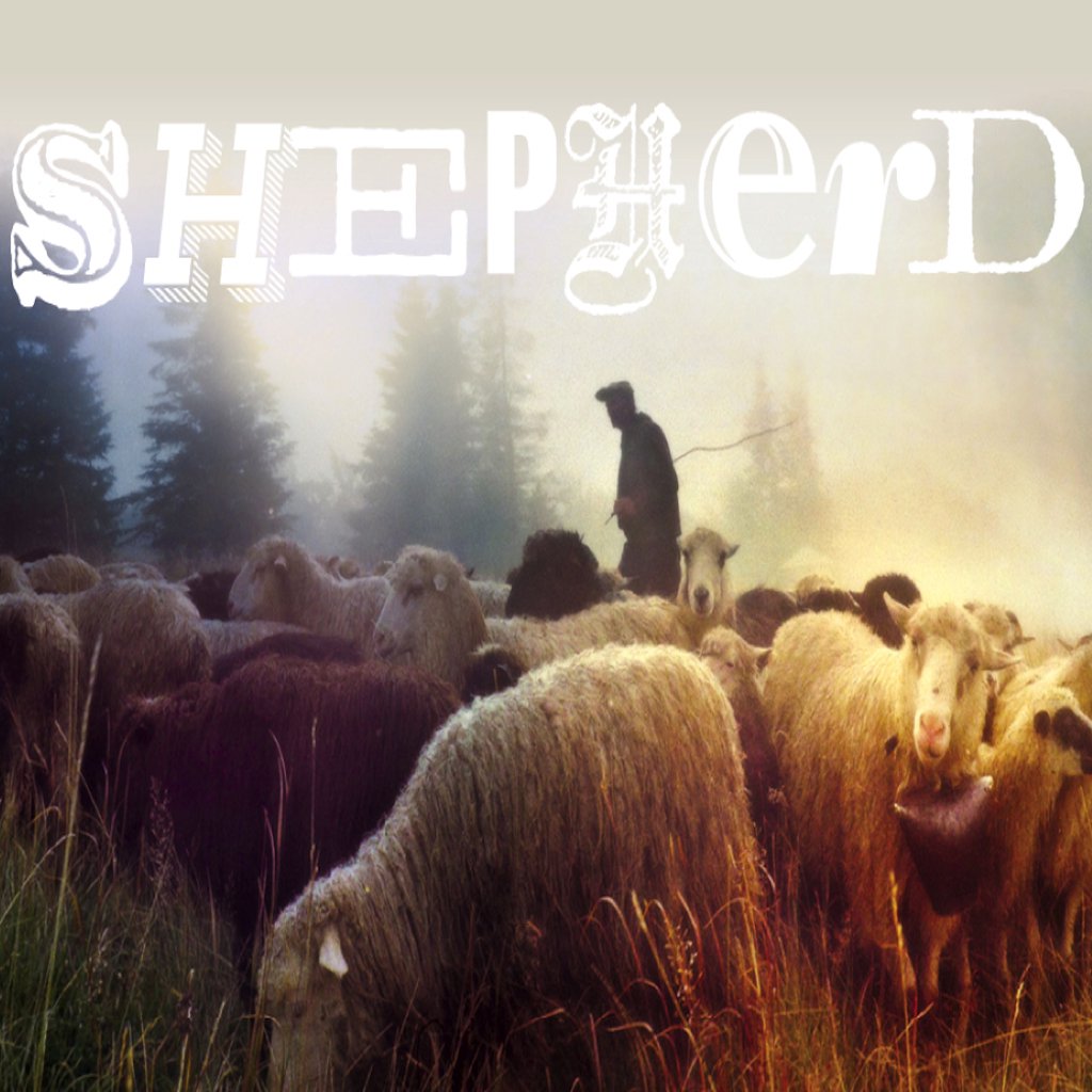 The Shepherd Leads