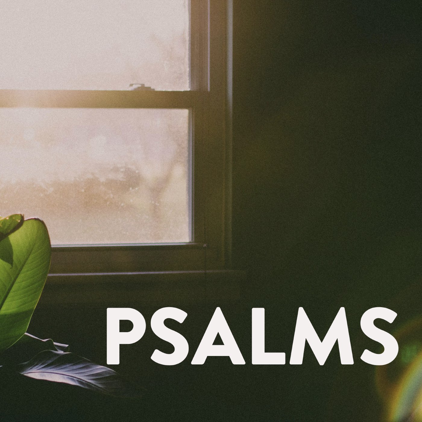 God is our Refuge | Ringwood (Psalm 46) episode artwork