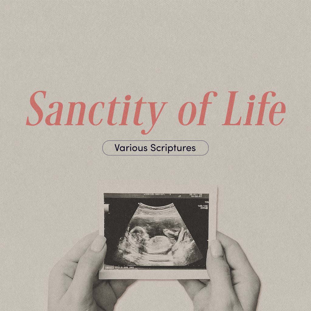 Sanctity of Life episode artwork
