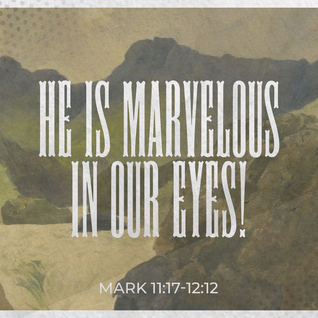 He Is Marvelous In Our Eyes! - Mark 11:17-12:12 episode artwork