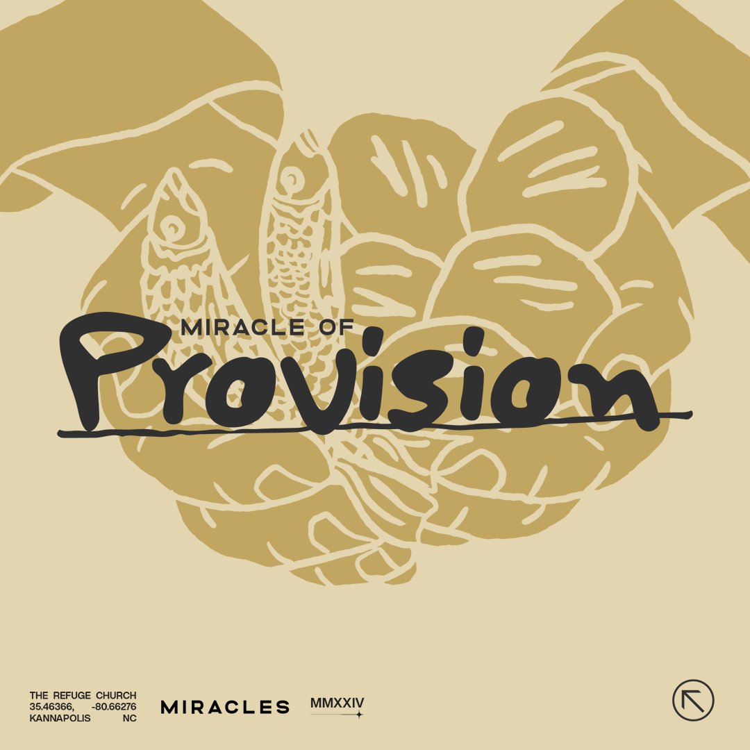 Miracle of Provision episode artwork