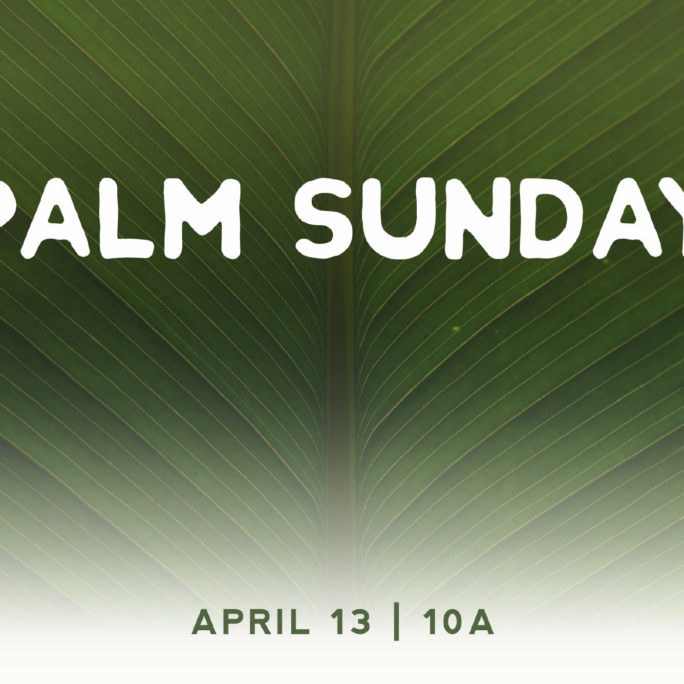 PALM SUNDAY | THE KING ARRIVES episode artwork