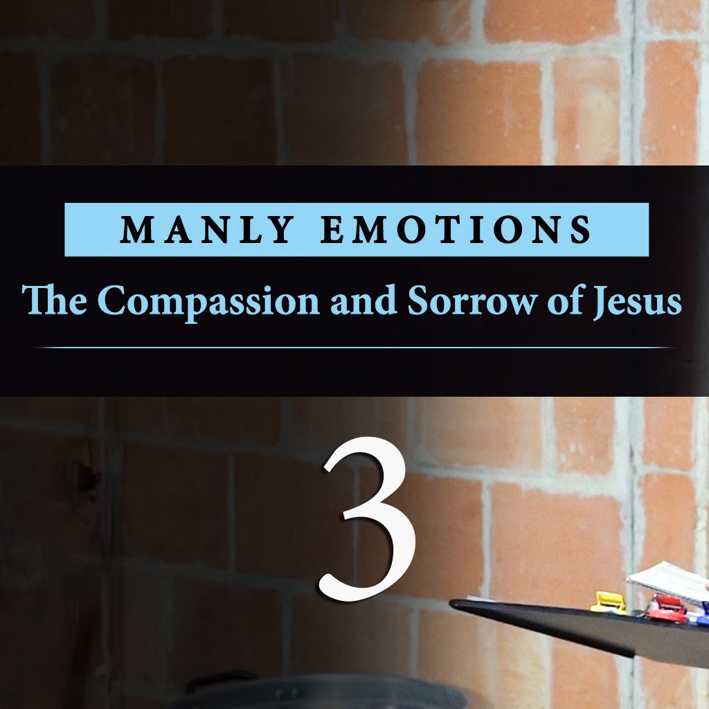 The Compassion and Sorrow of Jesus episode artwork