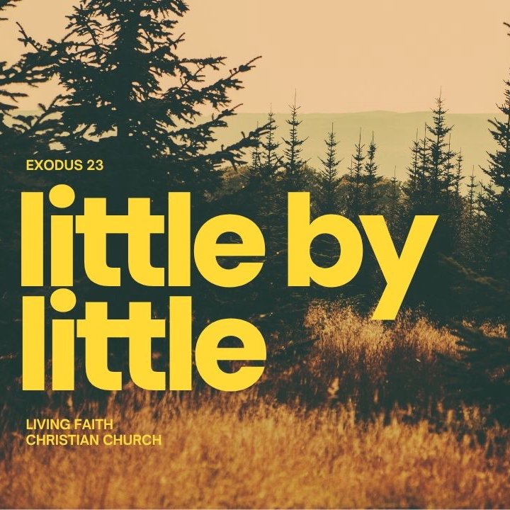 Little By Little Little By Little