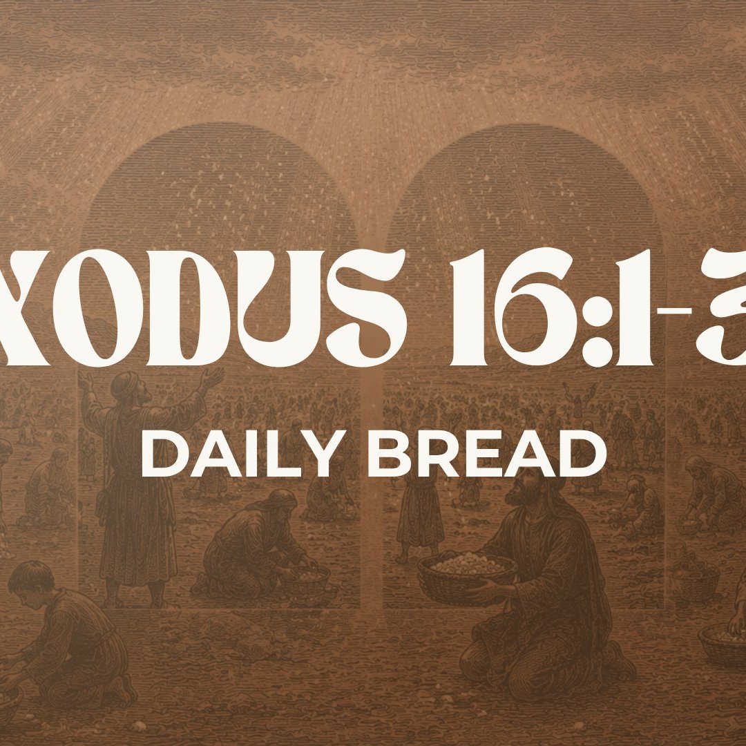 Daily Bread - Exodus 16:1-36 episode artwork