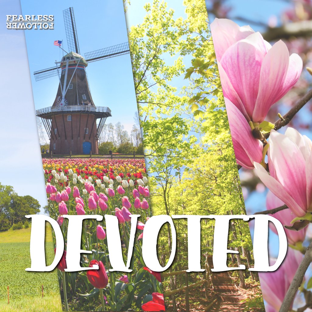 Devoted episode artwork