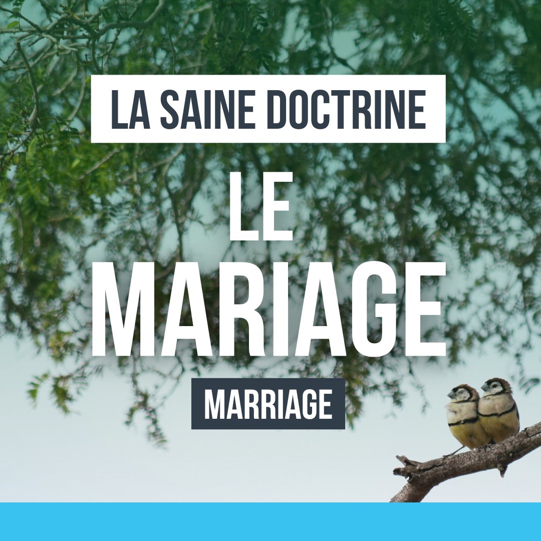 La saine doctrine : le mariage episode artwork