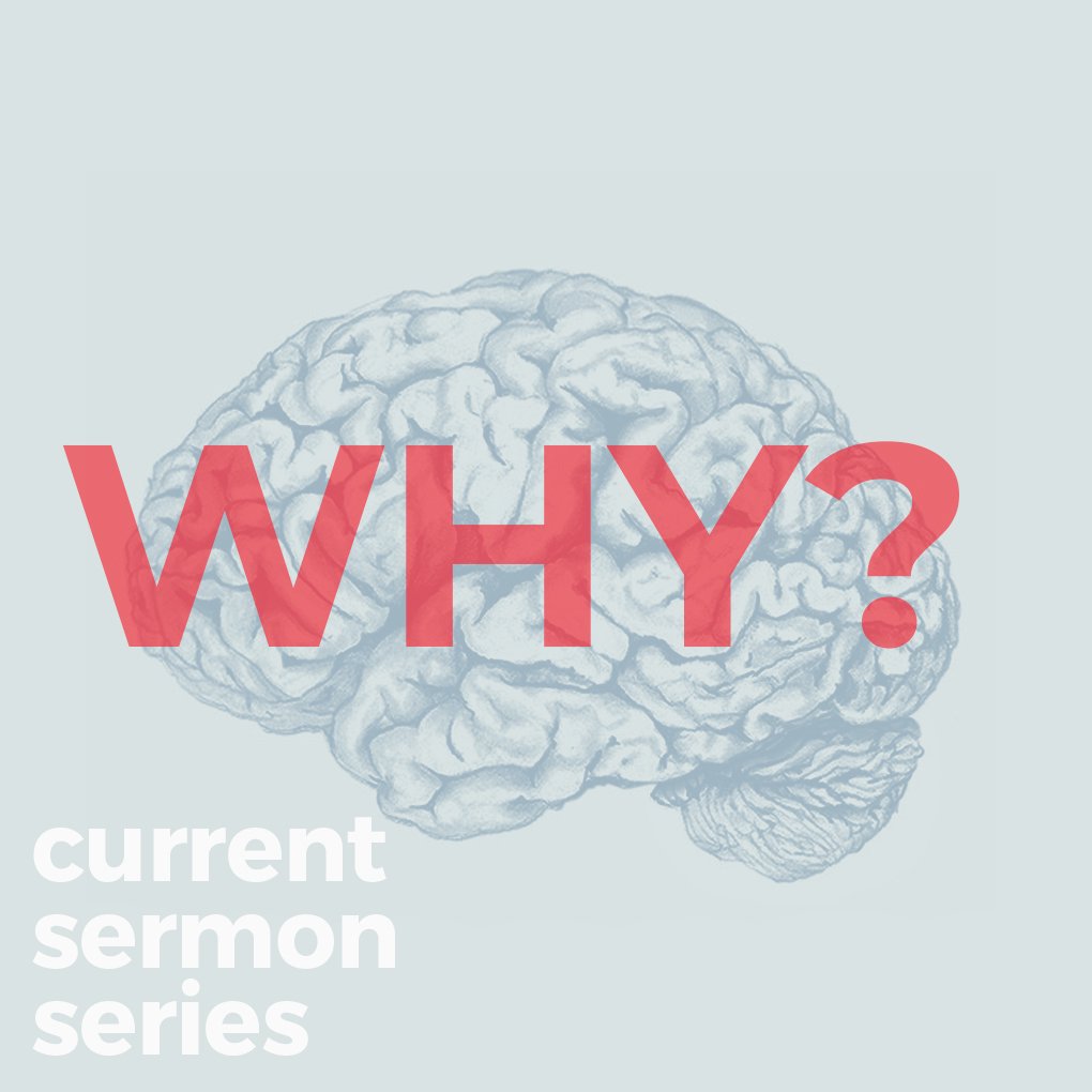 Why?: Part 1 episode artwork