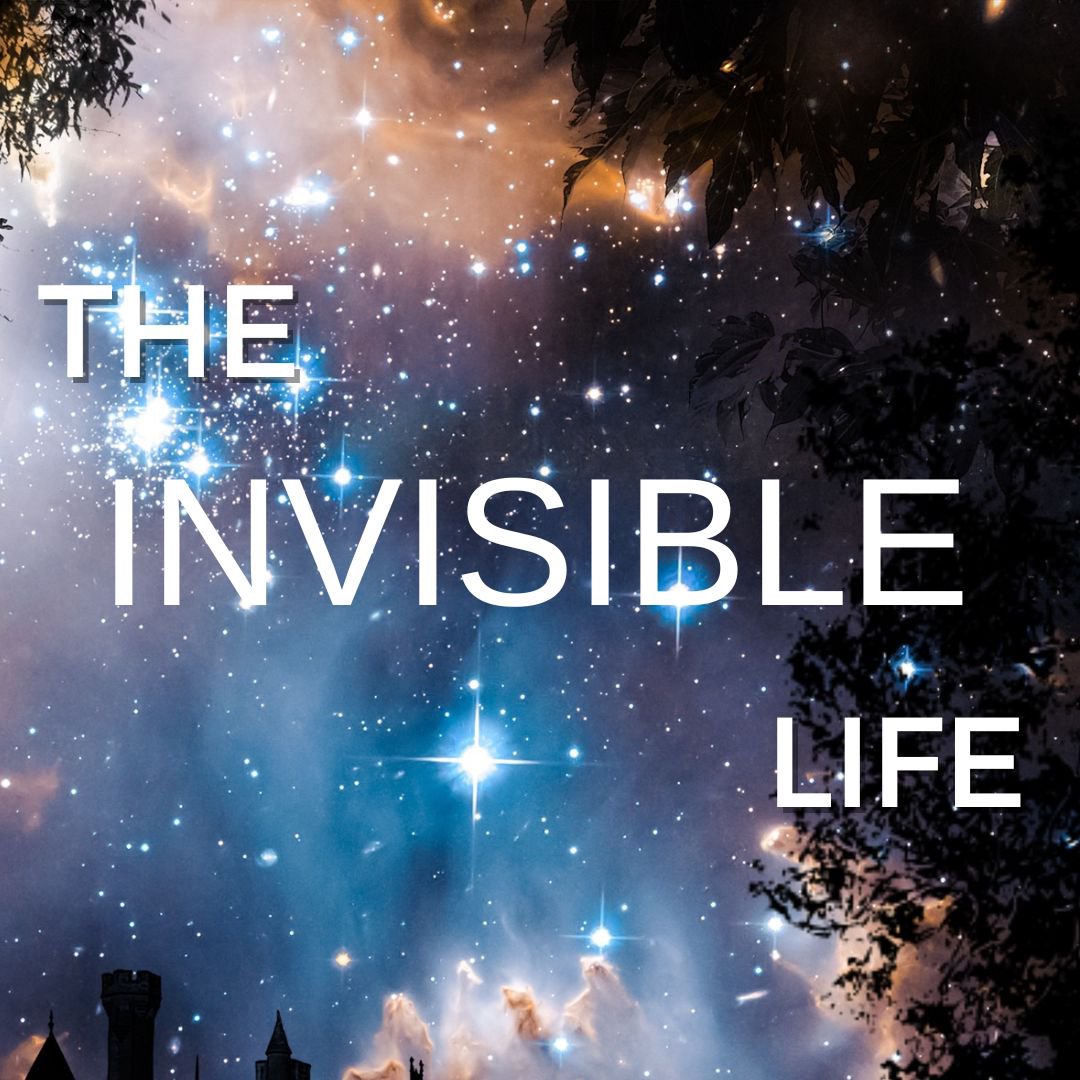 The Invisible Life