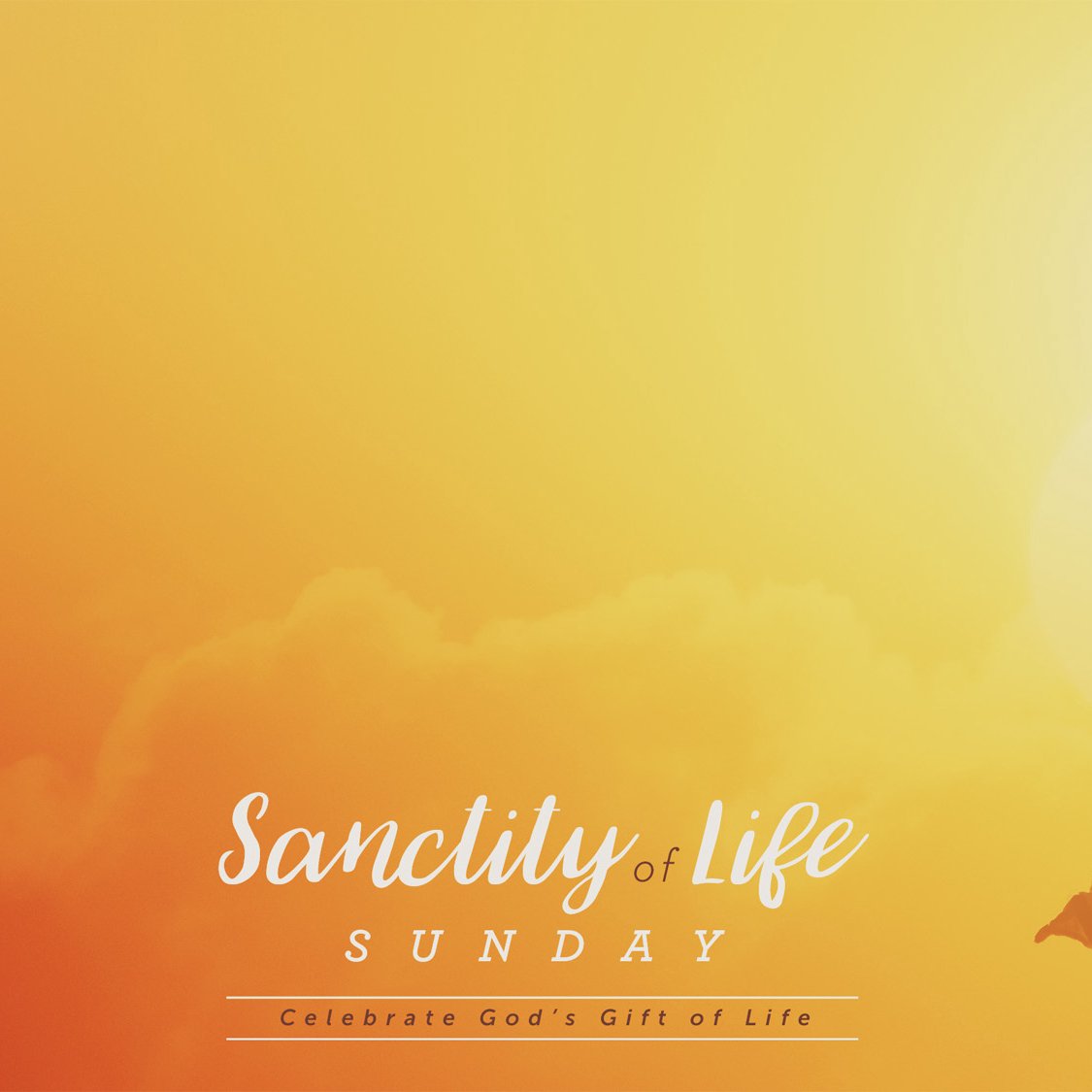 Trinity Community Church