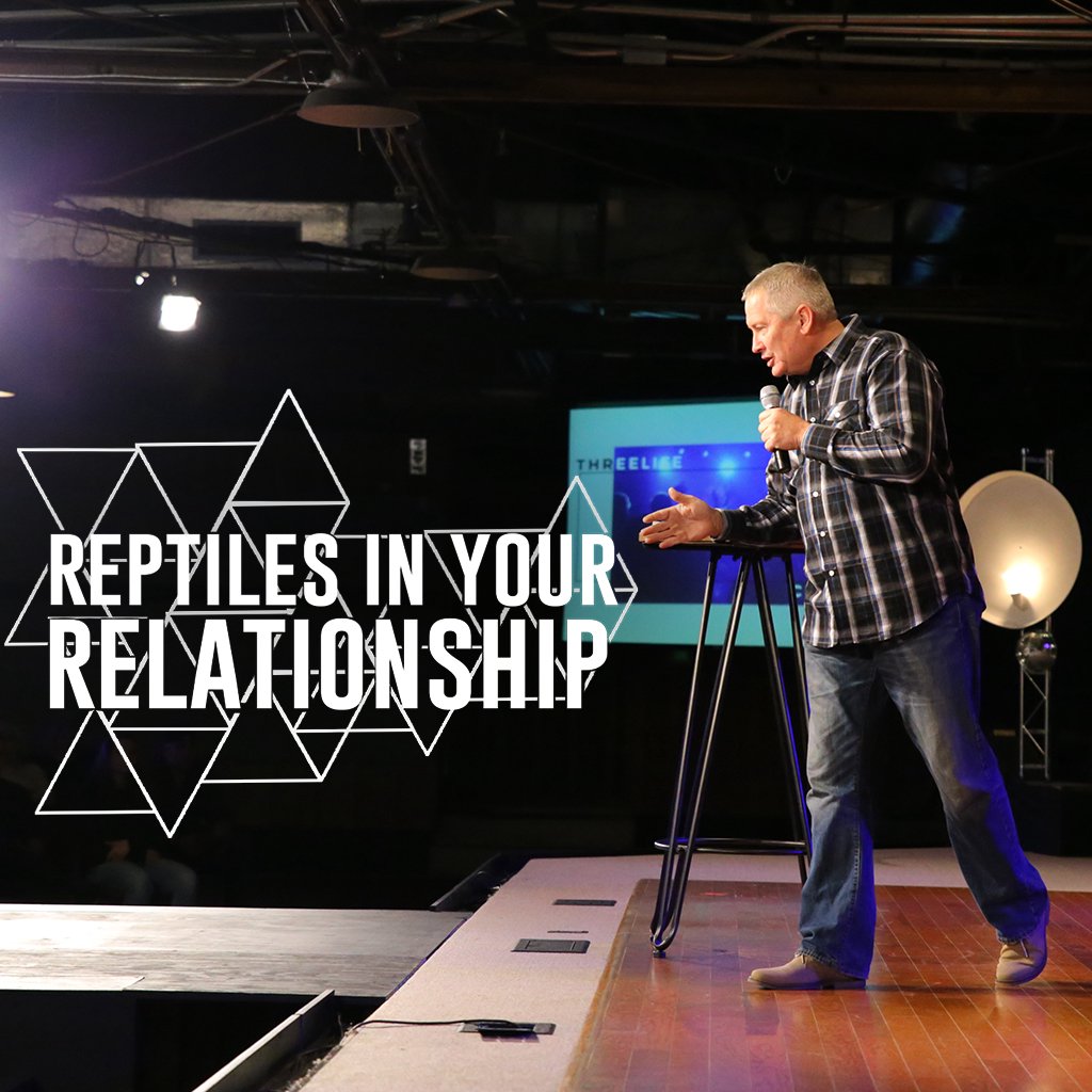Reptiles In Your Relationship episode artwork