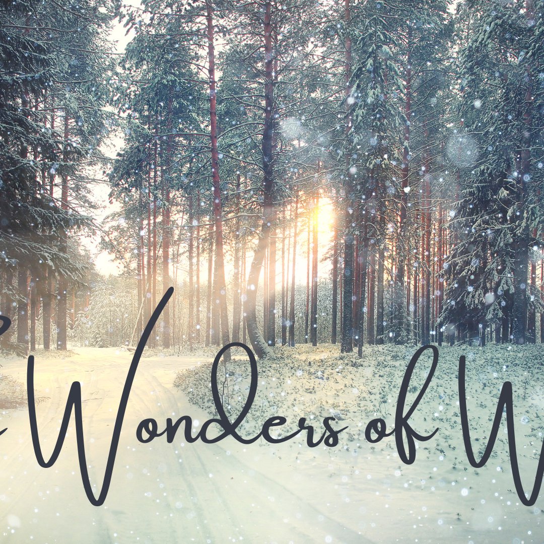 Wonders Of Winter