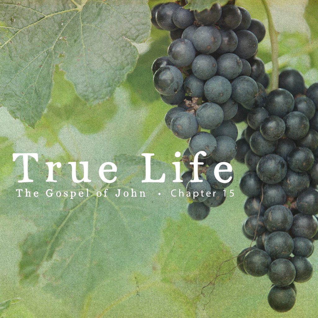 Big Valley Grace Community Church