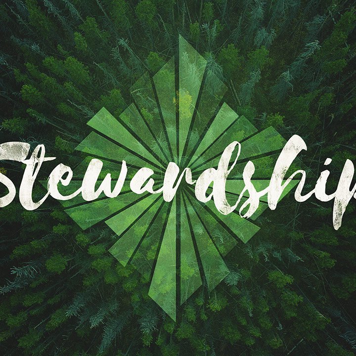 The Antidote to Striving - Stewardship episode artwork