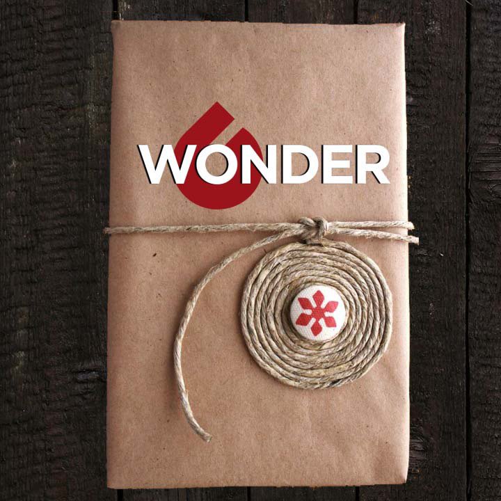 The Gift of Wonder episode artwork