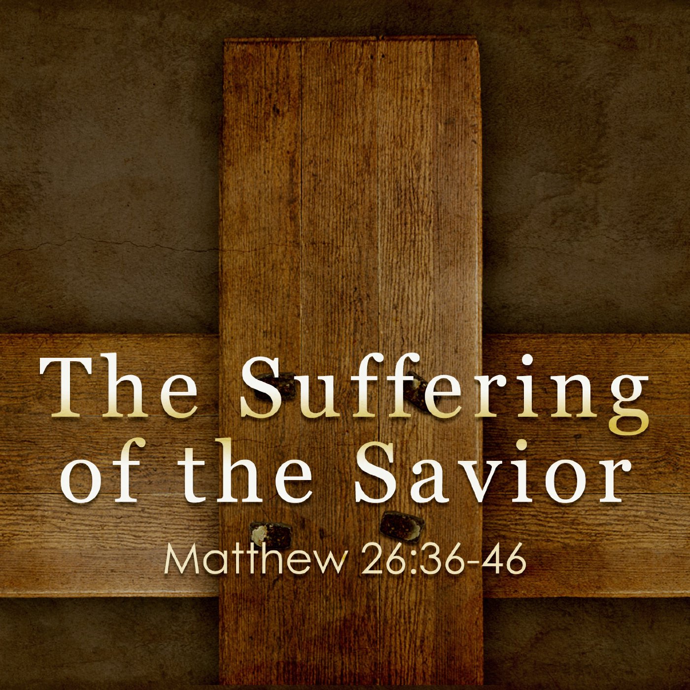 The Suffering of the Savior episode artwork