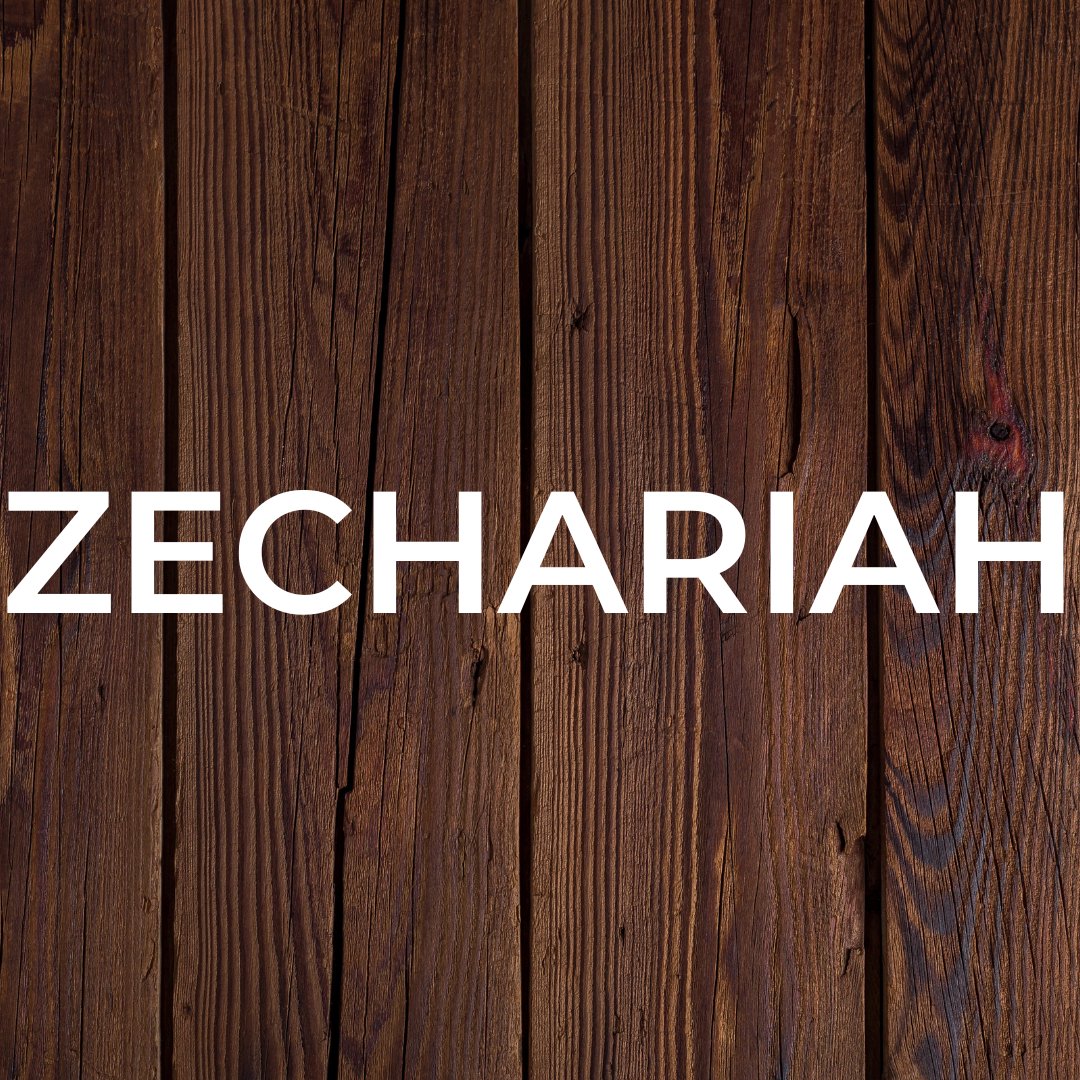Zechariah 12-13 episode artwork