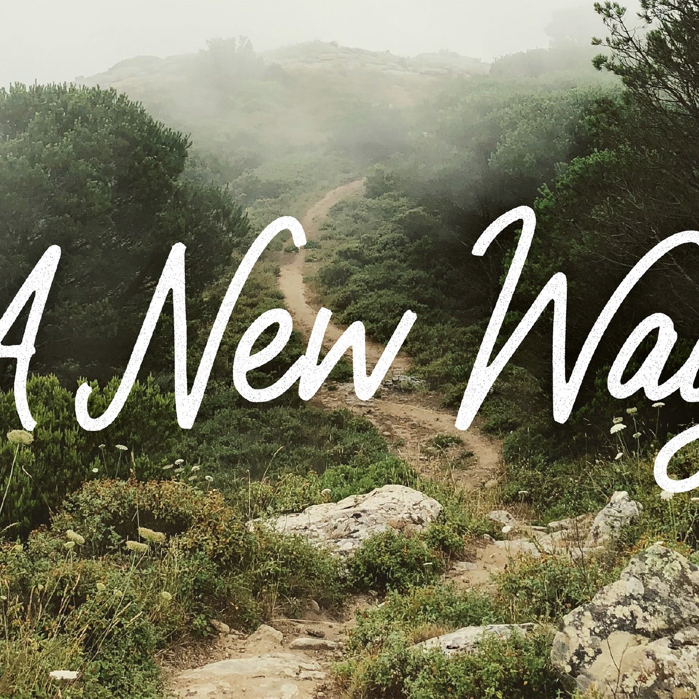 A New Way: Embracing Freedom