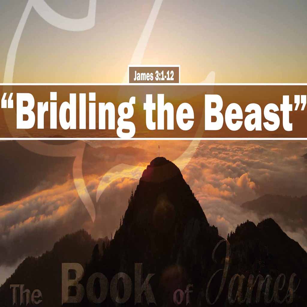 Calvary Chapel Solid Rock