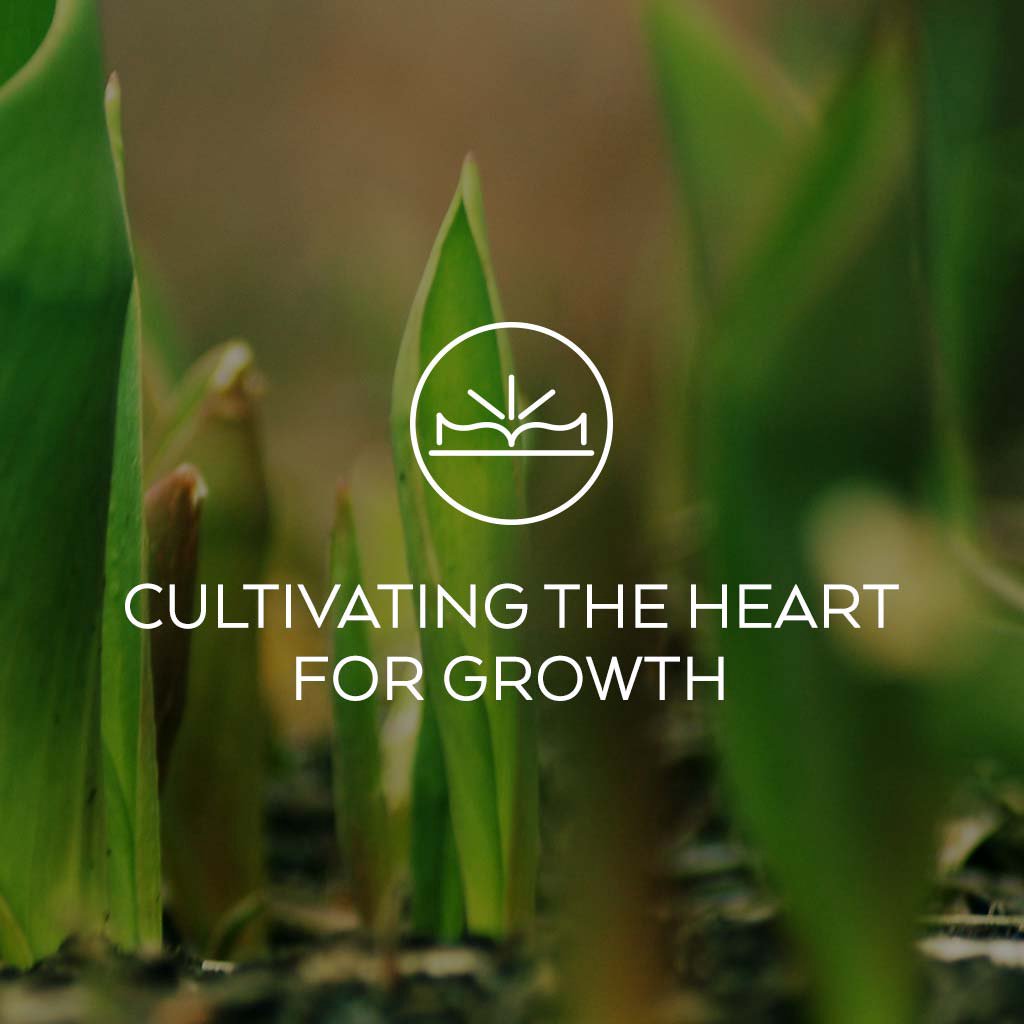 Meditation: Cultivating the Mind of Christ